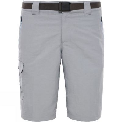 Pantalones Cortos The North Face Northerly Hombre Gris - Chile HQI531689